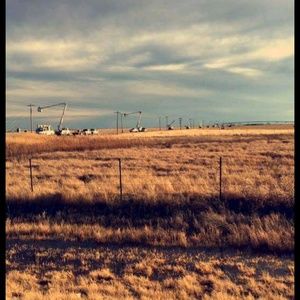 Meet your Posher, Weston